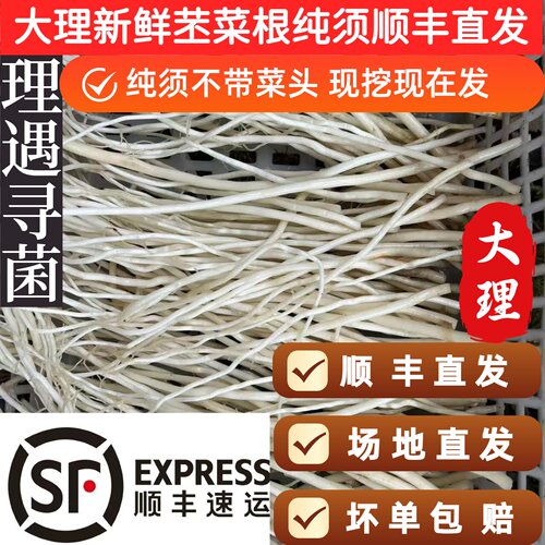 大理顺丰直发新鲜苤菜根纯须
