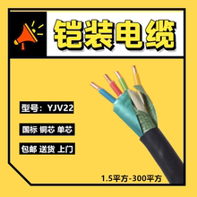 国标铜芯YJV22铠装电缆线2 3 4 5芯1.5 2.5 4 6平方 单芯电线电缆