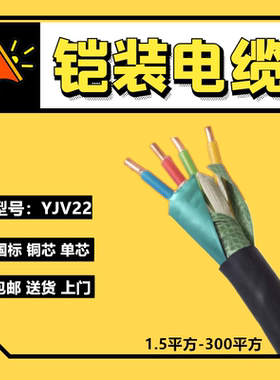 国标铜芯YJV22铠装电缆线2 3 4 5芯1.5 2.5 4 6平方 单芯电线电缆