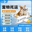 全国宠物托运服务猫咪狗狗专机运输包接包送活体快递跨省空运服务