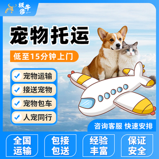 全国宠物托运服务猫咪狗狗专机运输包接包送活体快递跨省空运服务