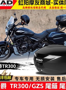 夏德SH39尾箱豪爵tr300尾架都市旅行版后备箱DR160货架DR300支架