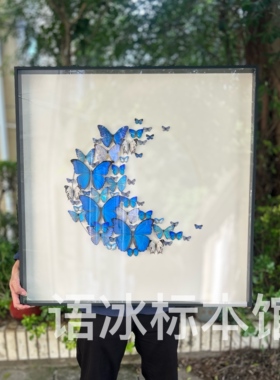 蓝闪蝶亚种真蝴蝶标本艺术墙餐厅家居进口手作
