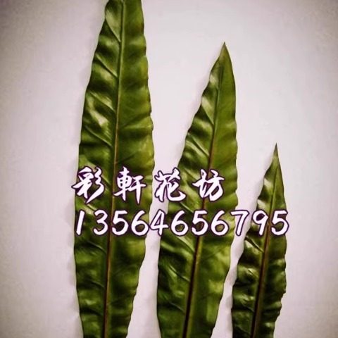 仿真鸟巢叶热带植物插花
