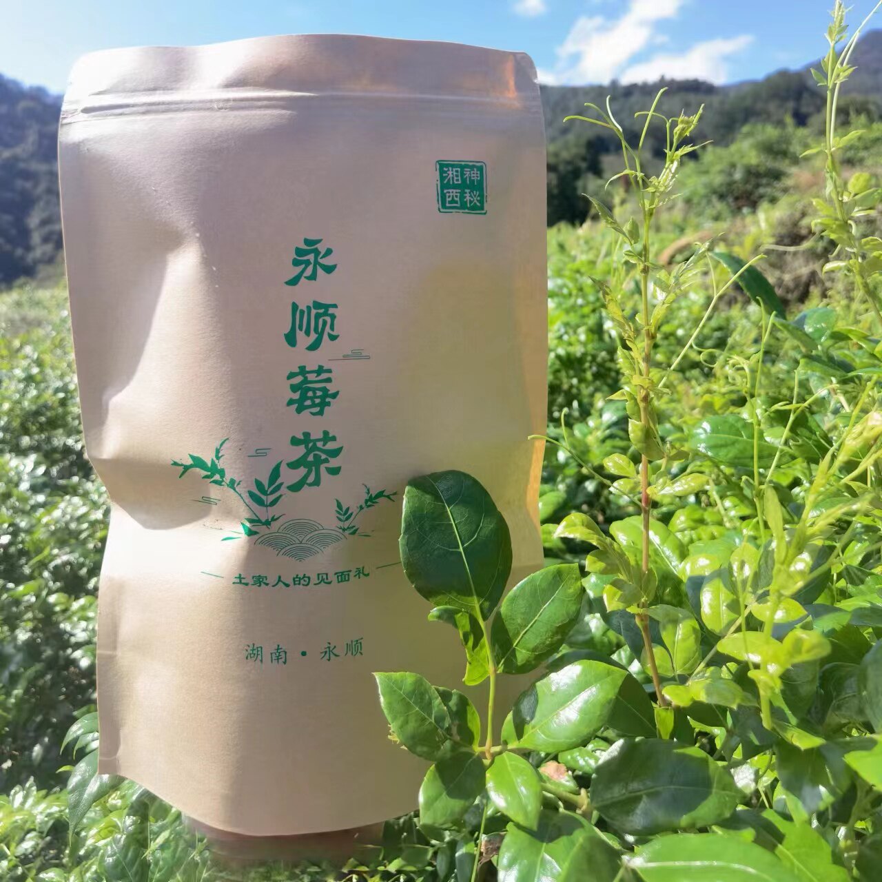 永顺特产土家莓茶喜妹美丽湘西张家界龙须正品养生旗舰店藤茶