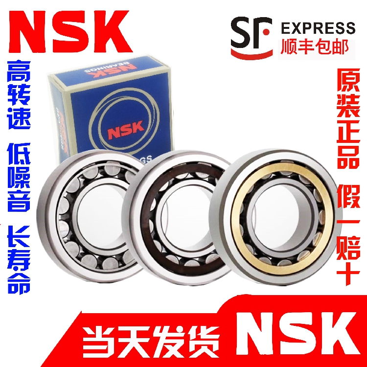 进口NSK日本减速机轴承RN/205/206/207/208/209/307/308/309/312M