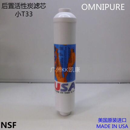 10寸小T-33 后置椰壳活性炭滤芯 净水器颗粒炭 USA OMNIPURE 美国