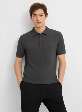 D243031A84爱登堡男装专柜正品秋装2024新款短袖羊毛衫针织衫