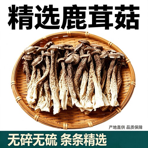 古田鹿茸菇干货源头新货无熏硫煲汤火锅餐饮菌菇散装一件代发批发