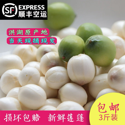 顺丰空运洪湖新鲜现摘现发嫩莲子米清甜可口生吃水果当季莲蓬米