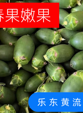 【春果嫩果】海南本地春果乐东生槟榔果原产现摘带配料发货鲜水嫩