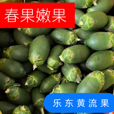 【春果嫩果】海南本地春果乐东生槟榔果原产现摘带配料发货鲜水嫩