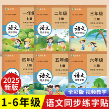 2025秋新版人教版一二三四五六年级上册下册语文练字帖课本同步小学生专用楷书字帖视频教学全彩每日一练正楷好字通硬笔书法练习本