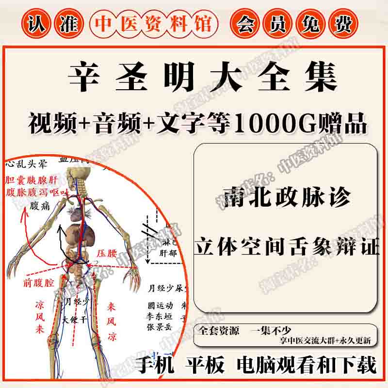 辛圣明伤寒论舌象中医视频全套音频全集自学零基础从入门到精通 办公设备/耗材/相关服务 刻录盘个性化服务 原图主图