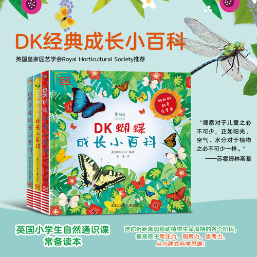 青蛙向日葵蝴蝶DK儿童