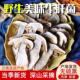 云南野生菌美味牛肝见手青特产精品无泥无虫肉质厚实野生菌