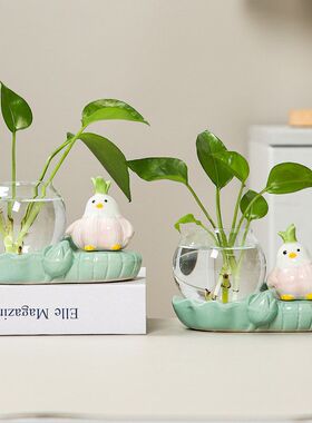 电视柜玄幻蒜器皿水培摆件插花