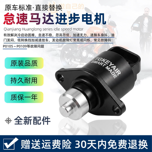 黄龙600黄巡600QJ追350赛600 300 骁600飓风302R怠速进步电机马达