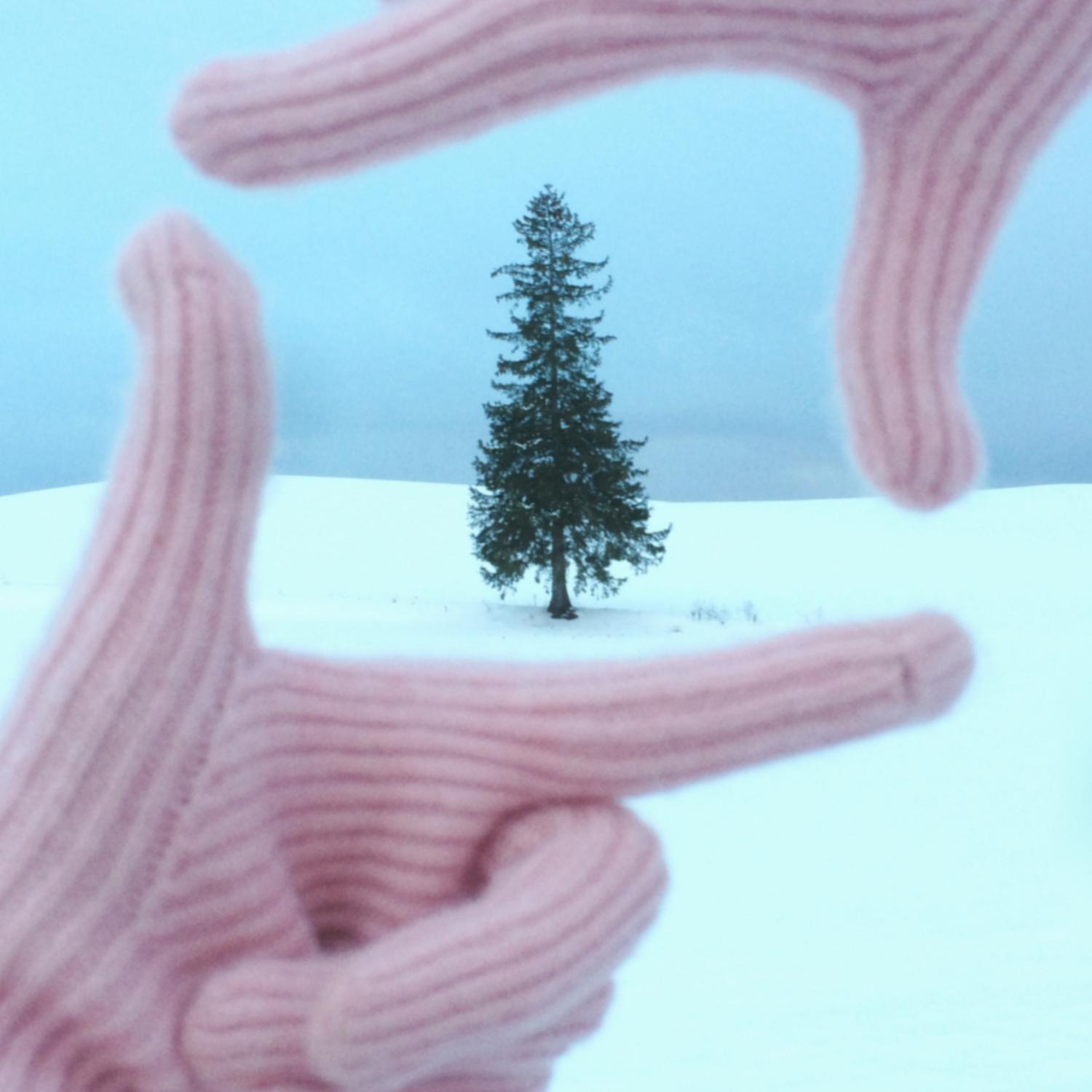 hucares定制「粉粉嫩妹」羊毛混纺纯色保暖手套柔软可触屏学生女