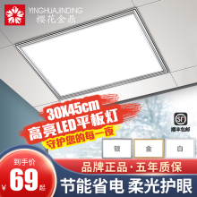 集成吊顶灯300*450厨房卫生间led平板灯吸顶嵌入式灯具30*45