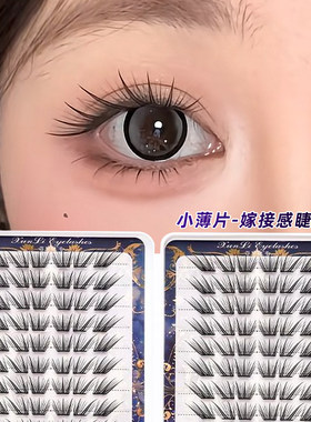 2026新款假睫毛书大容量免胶自粘女自然仿真浓密不朽情缘狐胶水款