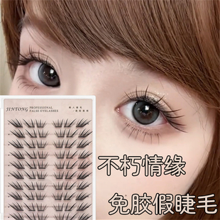 2025新款 狐系眼尾 假睫毛免胶小薄片不朽情缘自粘卷翘单簇分段式