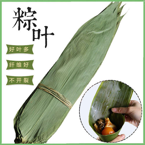 干大粽叶粽子叶新鲜纯天然粽叶粑叶野生大号包粽子叶子芦苇叶免邮 - 封面