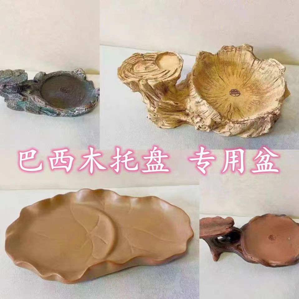 巴西木植物树幸运木树脂专用盆托盘创意盆摘巴西木花盆底座水盘盆