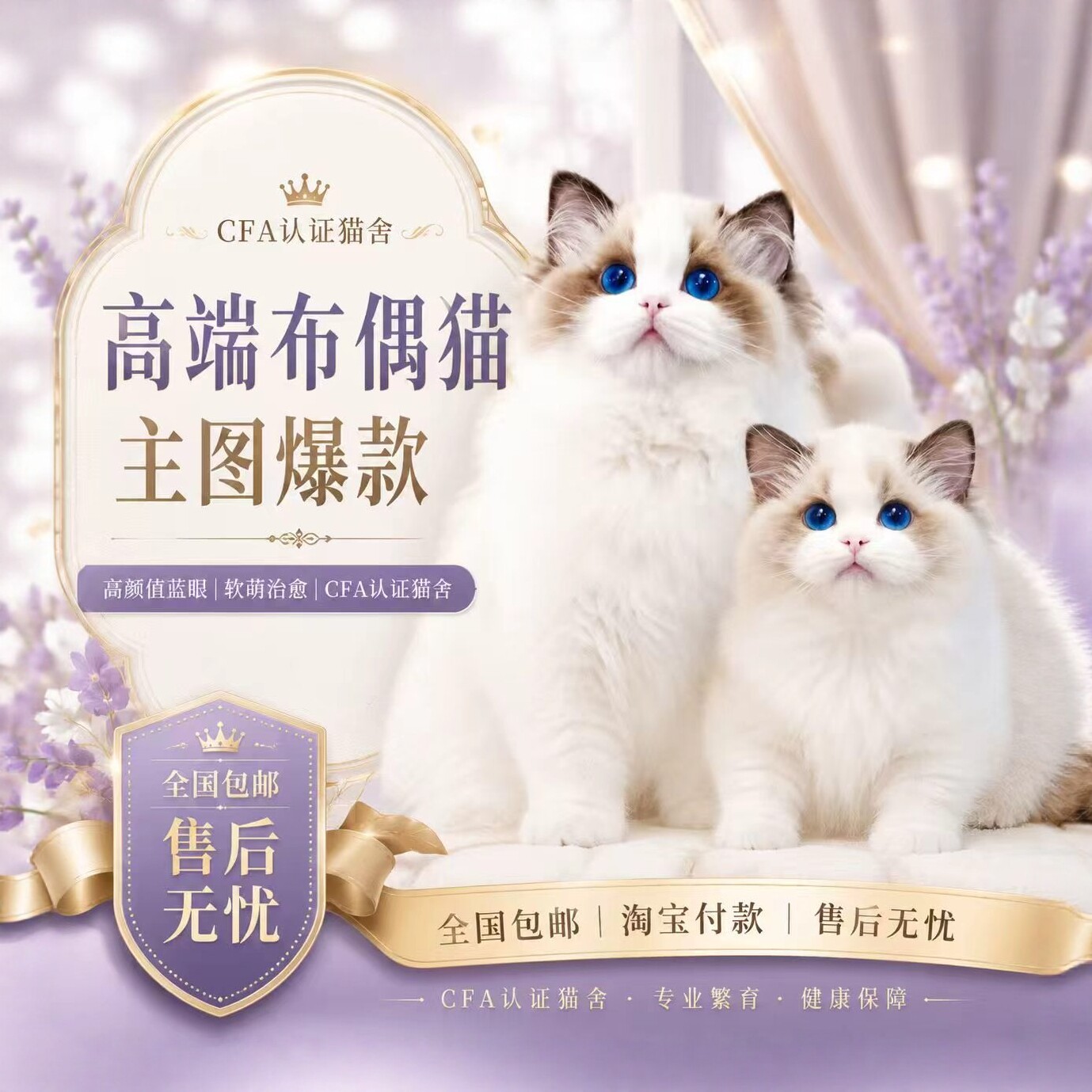 布偶猫幼猫纯种蓝双海双山猫长毛赛级仙女猫幼崽活物宠物猫咪活体