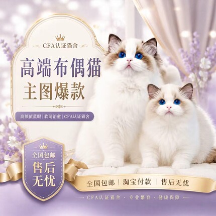 布偶猫幼猫纯种蓝双海双山猫长毛赛级仙女猫幼崽活物宠物猫咪活体
