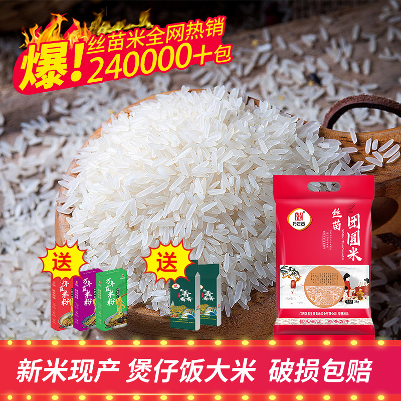 煲仔饭丝苗米大米5kg长粒米