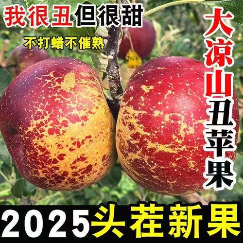 盐源冰糖心丑苹果整箱大凉山