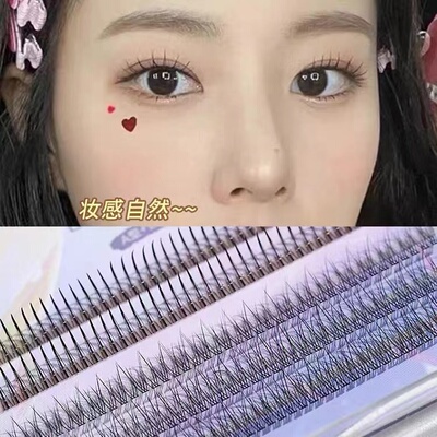 everbab假睫毛鱼尾毛仙子毛组合A型单簇自然仿真嫁接【特价清仓】