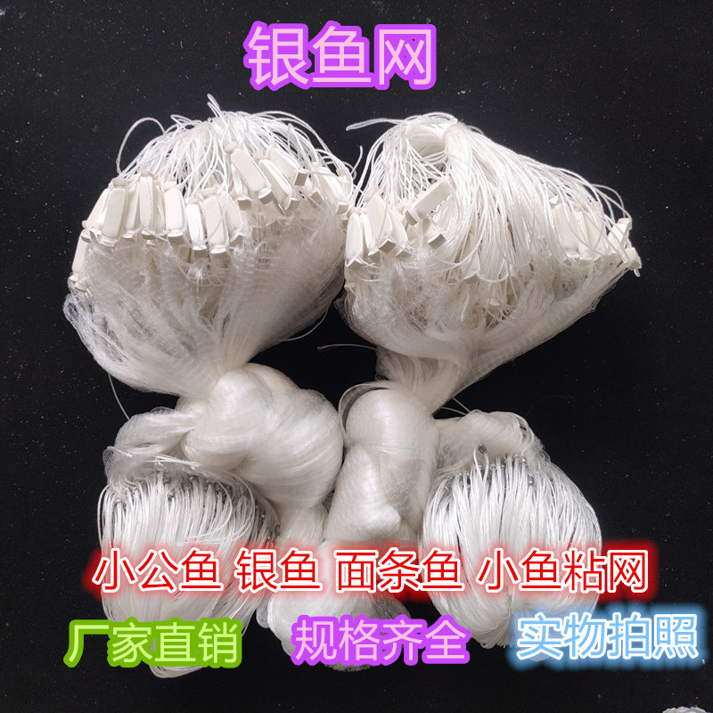 专捕银鱼网细丝单层银鱼仔渔网粘网水库进口公鱼网3米高小银鱼网