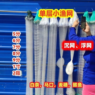 单层渔网餐白条专用鱼网粘网丝网7一指沉网浮网沾网麦穗鱼网大全