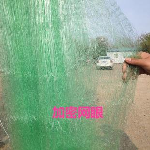 鱼网粘网三层加粗尼龙大鱼网鱼沉网捕鱼网三层渔网三层渔网加强丝