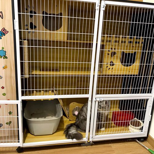 猫笼网格铁门定制防护阳台改造猫门隔离透气猫别野防护门笼子门