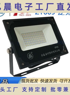 上海亚明照明LED投光灯ZY609 100W广告泛光灯200W户外防水灯