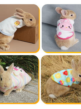 宠物服饰兔子衣服兔兔荷兰猪穿的衣服用品小兔活体秋冬季保暖服装