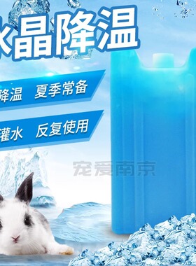 兔子降温冰盒 宠物兔兔仓鼠龙猫豚鼠冰晶冰袋冰床散热板 夏天消暑
