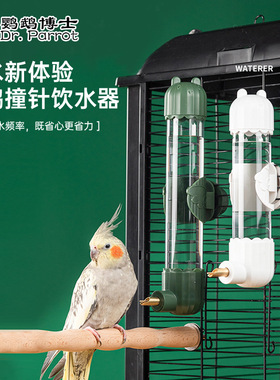 鹦鹉撞针自动水壶喂饮水器龙猫兔子荷兰猪豚松鼠鹦鹉防咬静音水壶