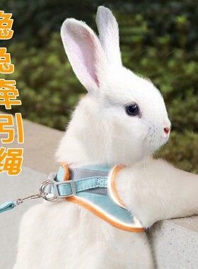 兔子牵引绳防挣脱专用溜兔子外出衣服防咬小侏儒兔遛兔栓绳子神器