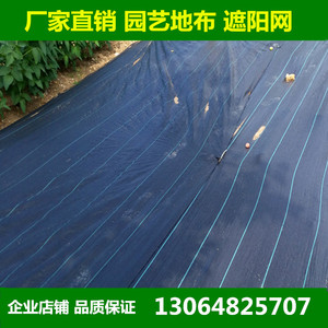 园艺地布防草布抗老化黑色除草布果园蓝莓园大棚防草地布钉厂家