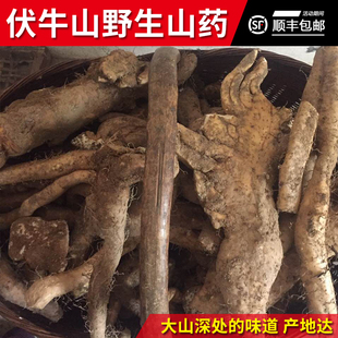 深山山药铁杆山药怀山淮山药绵山药现挖新鲜山药5斤散装