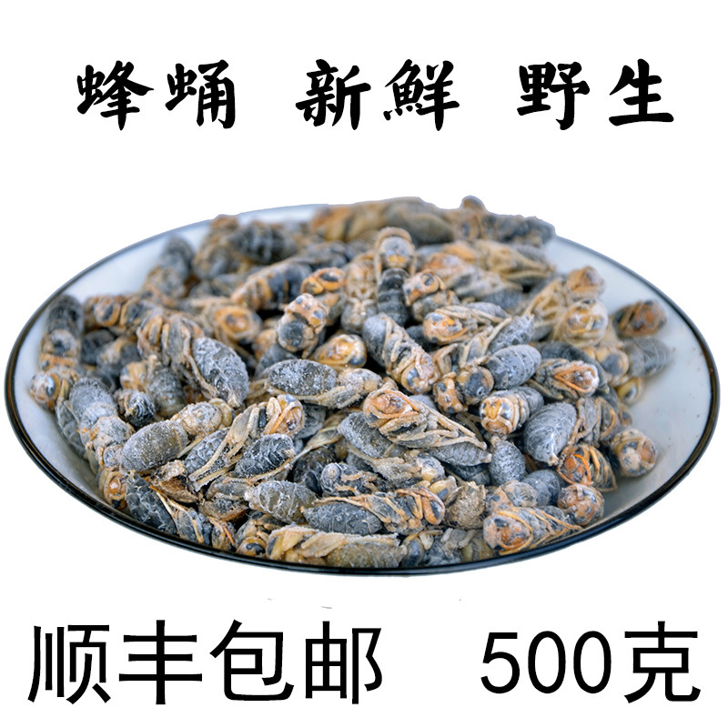 树蜂四级成蜂蜂蛹新鲜野生干油炸即食冷冻马蜂蛹黄脚蜂500克