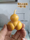 天然异形勒扎小金蟾葫芦把玩观赏小葫芦一物一图