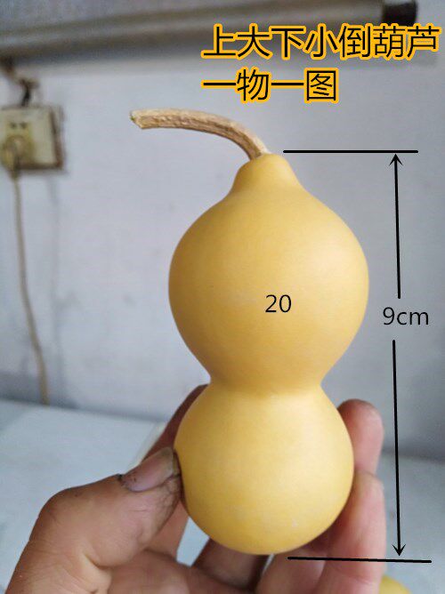 天然异形小号葫芦8-10cm文玩把玩收藏一物一图上大下小倒葫芦