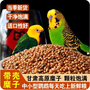 鹦鹉鸟粮饲料糜子牡丹虎皮玄凤粮食文鸟食用带壳两色糜子当季新货