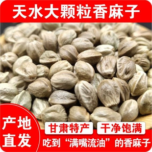 天水麻子大粒甘肃特产大生麻子人吃炒熟食用麻子大颗粒