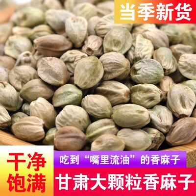 天水麻子大粒甘肃特产大生麻子火麻子籽人吃炒熟食用麻子大颗粒